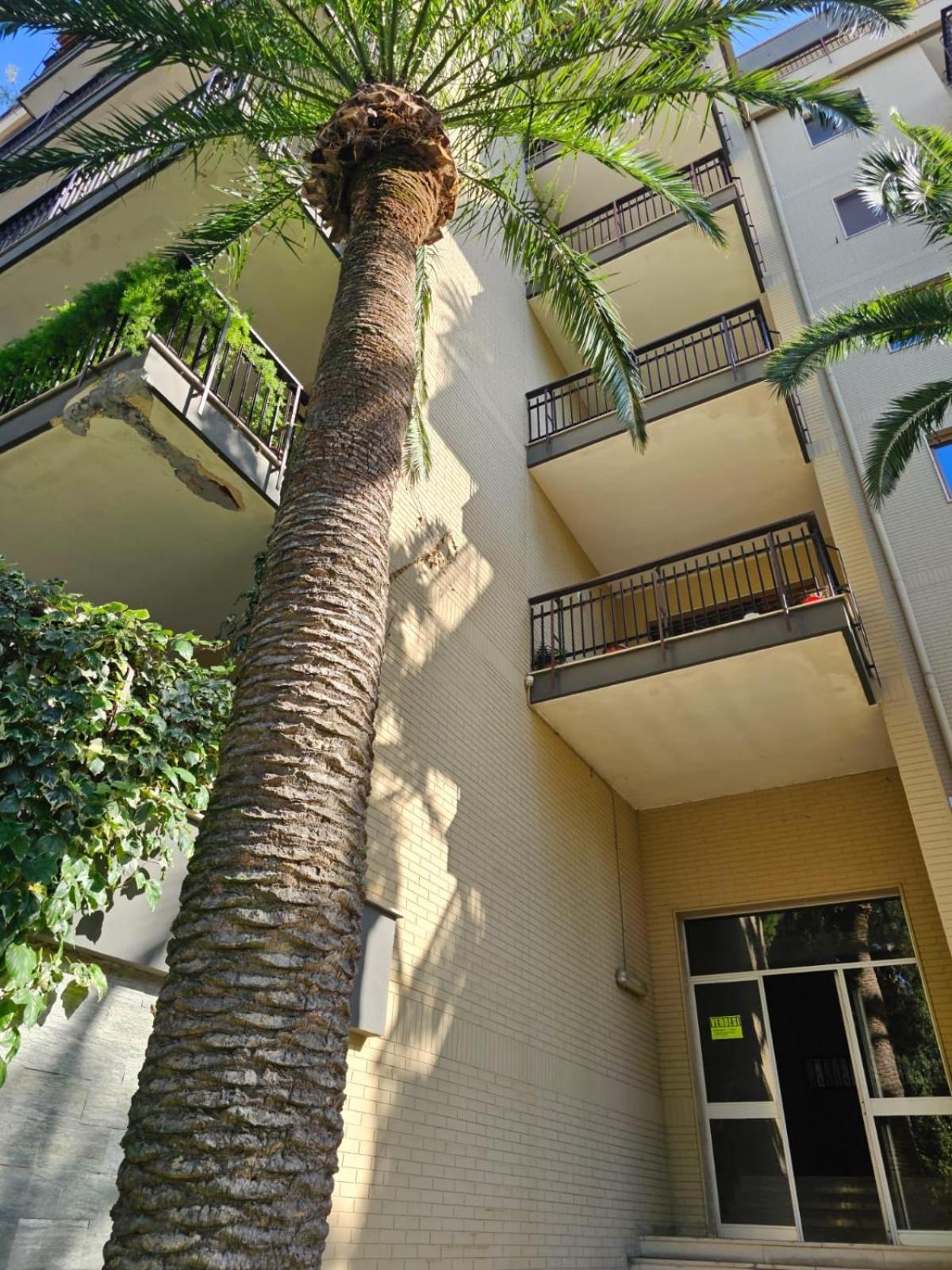 La Casa Di Telen Zona Policlinico Oncologico E Villa De Grecis Bari Esterno foto